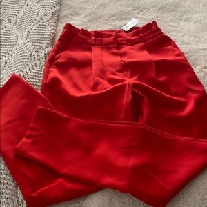 NWT Windsor pants